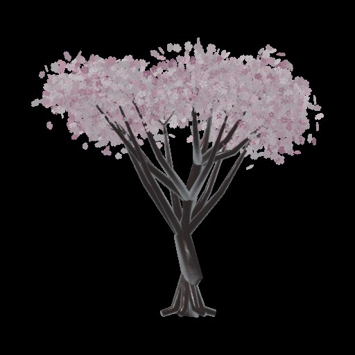 Sakura · 벚나무